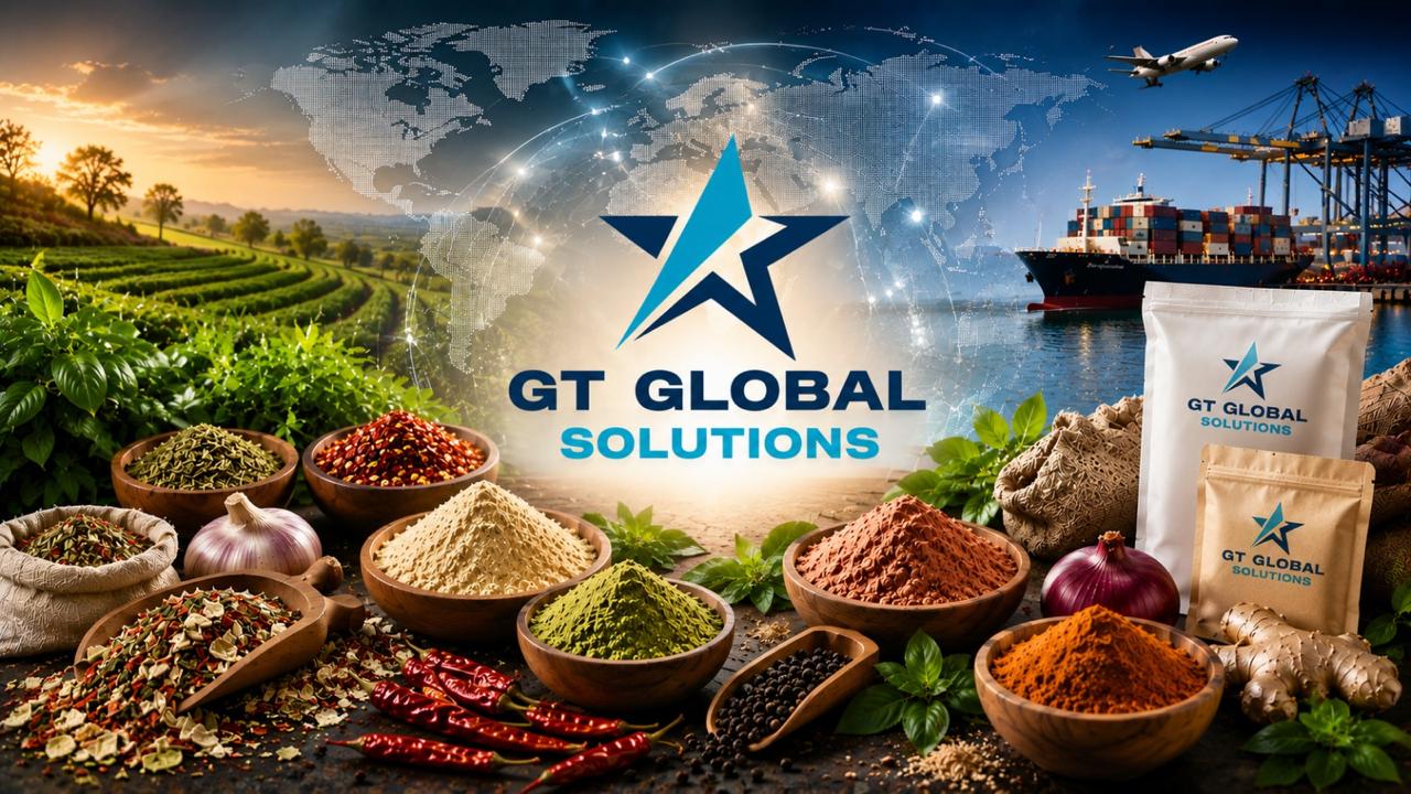 gt-global-solutions-llp-pune