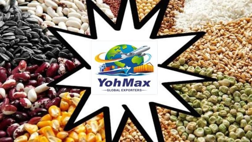 yohmax-global-exporters-mumbai